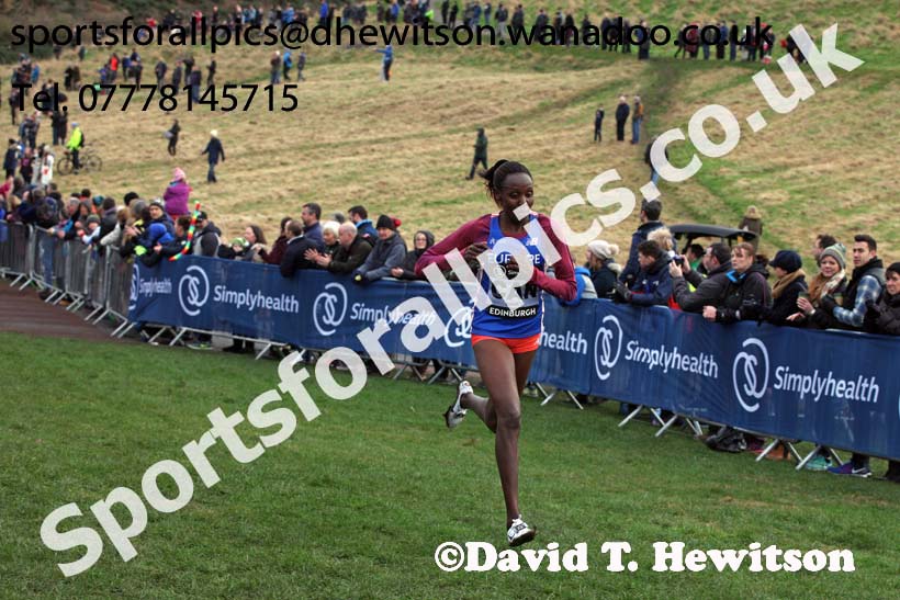 Senior womens Great Edinburgh Cross Country, 2017 Great Edinburgh Cross Country. Photo: David T. Hewitson/Sports for All PIcs